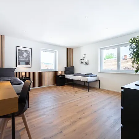 Apartment Large Design Near Basel, Work And